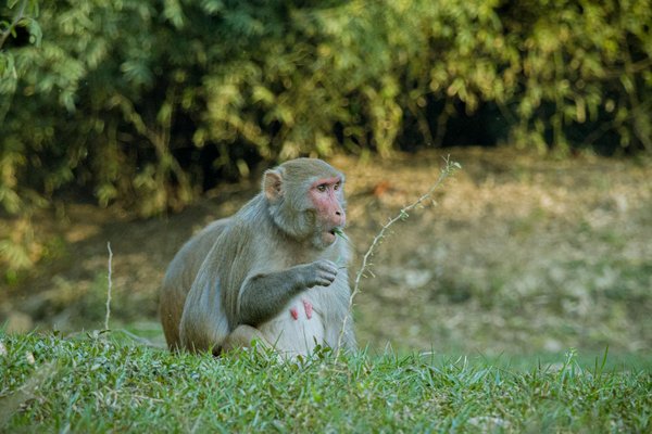 Site Pour Jouer Au Blackjack En Ligne