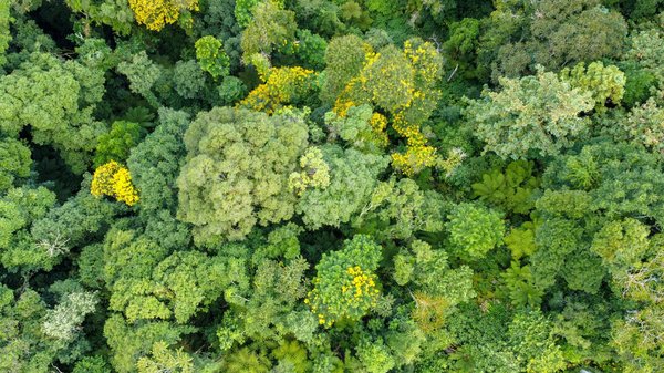 Règles De Base Des Machines à Sous