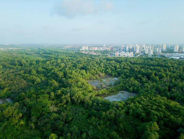 Jouez à La Machine à Sous En Ligne Pour De L Argent Réel