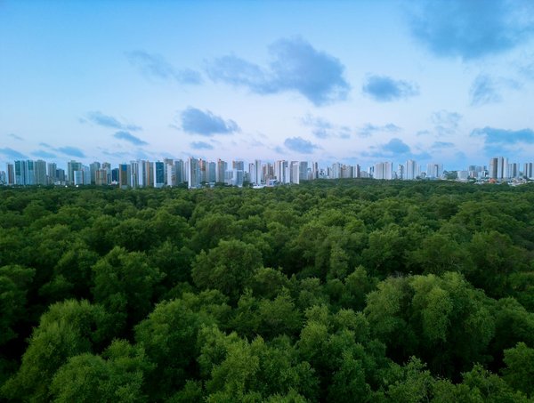 Paris De Bonus De Casino Expliqué