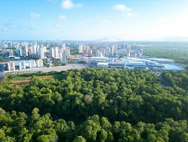 Règle Du Jeu Blackjack Casino