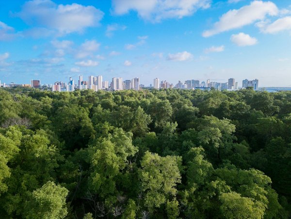 Optimiser Roulette Casino