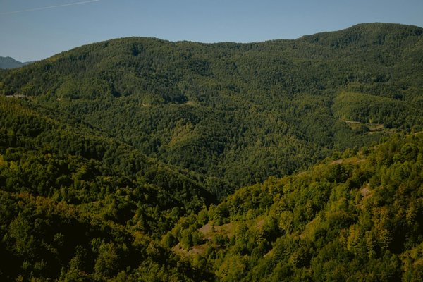 Tous Les Casino En Ligne