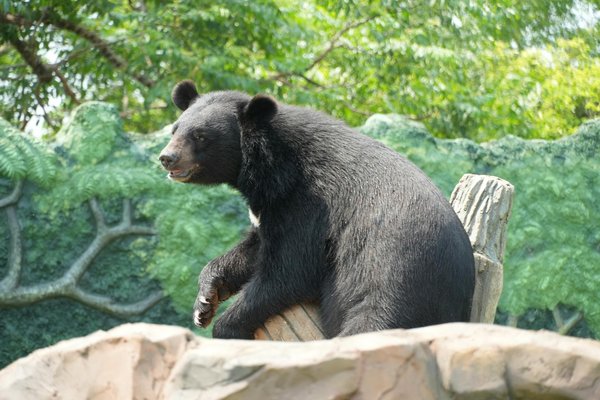 Secrets à Gagner àu Casino Roulette