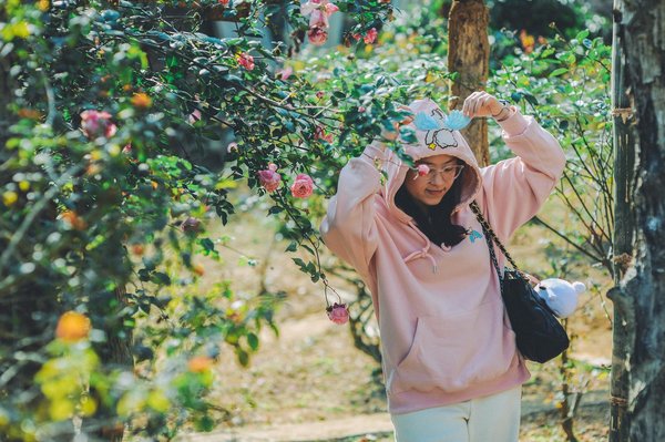 Wild Fortune Casino No Deposit Bonus