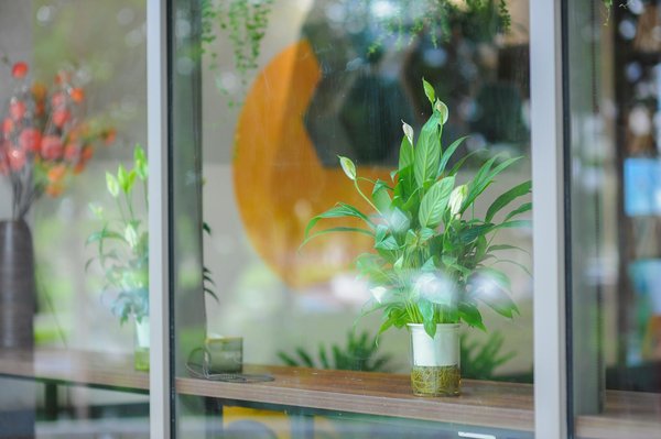 Machines à Sous Gratuits De Casino En Ligne