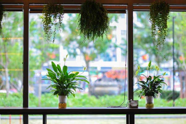 Qbet Casino No Deposit Bonus