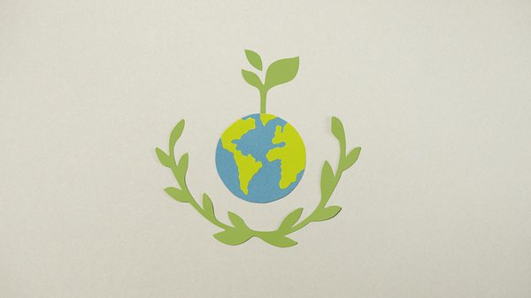 Quel Est Le Meilleur Moment Pour Jouer Aux Machines à Sous En Ligne