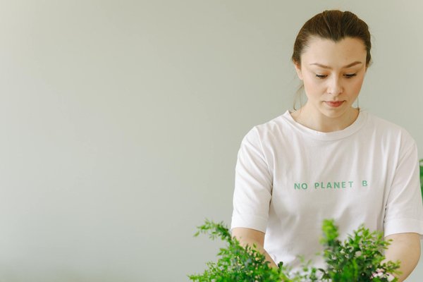 Pas De Bonus De Dépôt De Casino