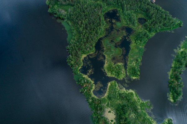 Zeslots Casino 50 Free Spins