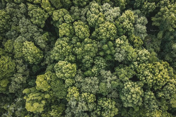 Tirage Keno Midi Aujourd Hui Midi