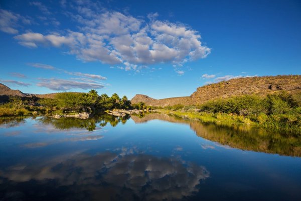 Les secrets pour créer un oasis de détente dans votre jardin : un guide infaillible pour des aménagements extérieurs paisibles