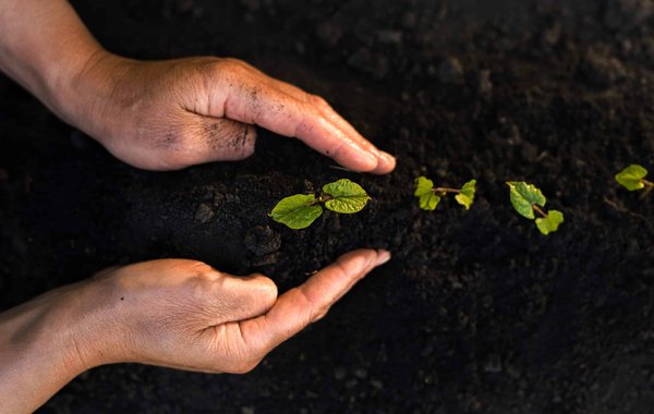 Soutenir l'écologie pour être ensemble et pour un avenir durable