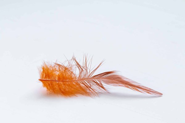 Que signifie une plume orange?